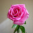 @meema2024
