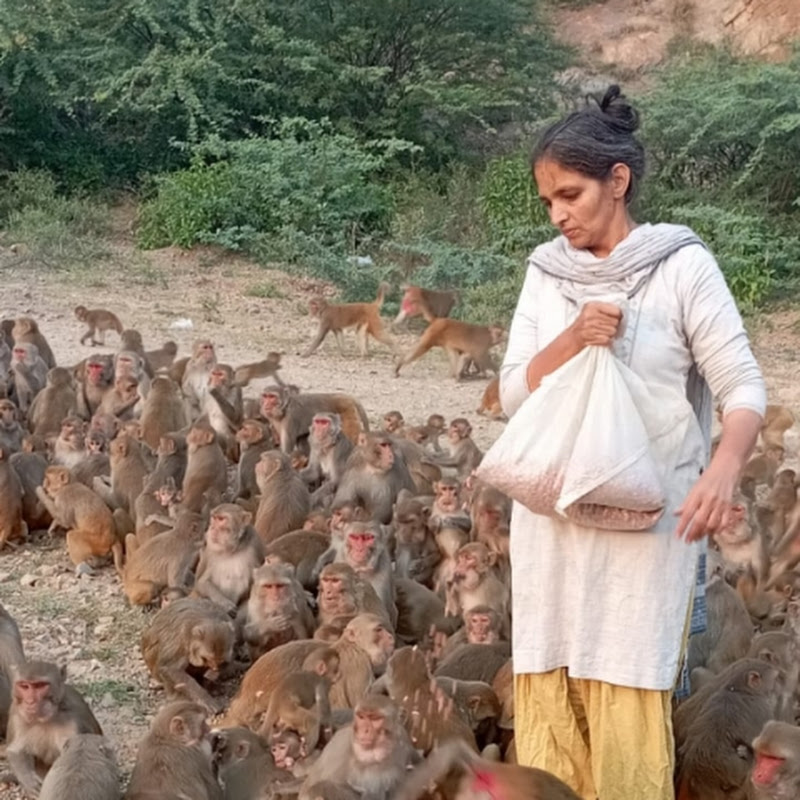 Paramjeev seva Foundation