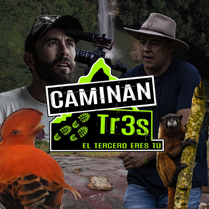 Channel Avatar