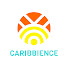 2fUj4ZSwGyg-channel-avatar-Caribbience