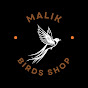 Malik Birds shop - @MalikBirdsshop - Youtube