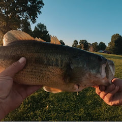 Fishing With The Bearded Wonder