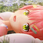 🌸Solaris🌸