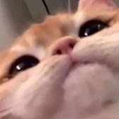 チャンネルアイコン