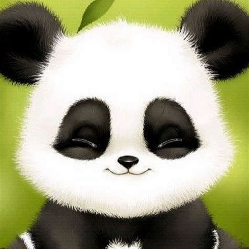 Playful Panda TV