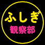 ふしぎ観察部