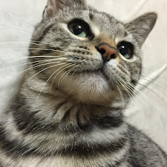釣り好きヨッシー
