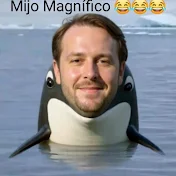 sinceramente sla
