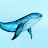 @happydreamingwhale