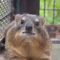 Tierwahn Uncut