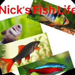 Nick R Creations channel thumbnail