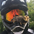 vAHrYFe1cOc-channel-avatar-Sloth Moto