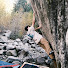 WbjG6RjaUOM-channel-avatar-Adam Shahar