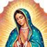 q_lW35wuYFM-channel-avatar-Paz en el Rosario