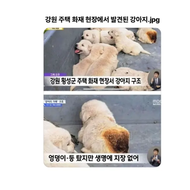 BlockNote image