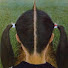 BmUoQM9GTZs-channel-avatar-buu