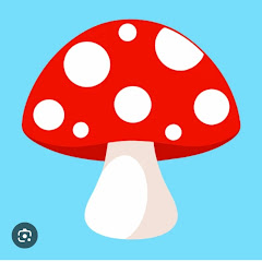 Mushroomstz