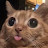 @Lemon1234heh