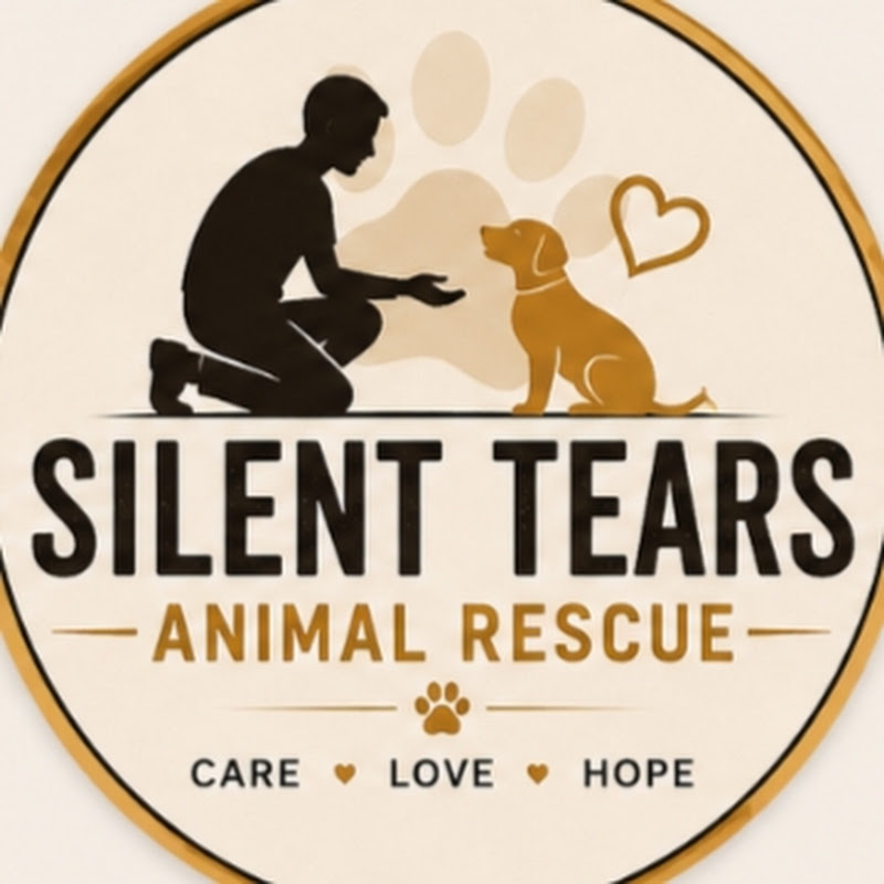 Silent Tears