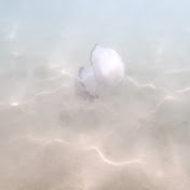 Underwater dreams