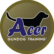 Acer Gundog Training