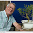 SpV2WgU0MFI-channel-avatar-Xavier's Bonsai Retreat