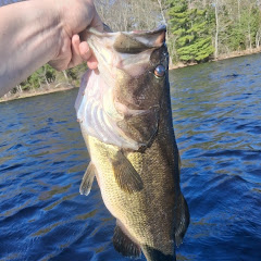 KD Maine Fishing