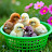 @ZonaAyamRinbow Avatar