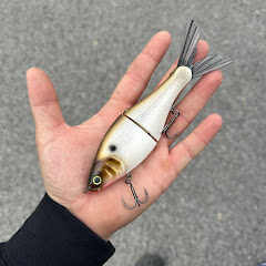 FISHEVERYTHING