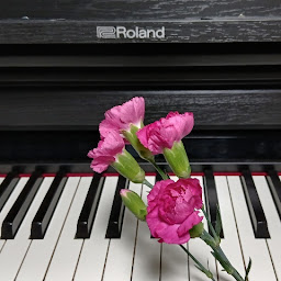 わたえみ Favorite Piano