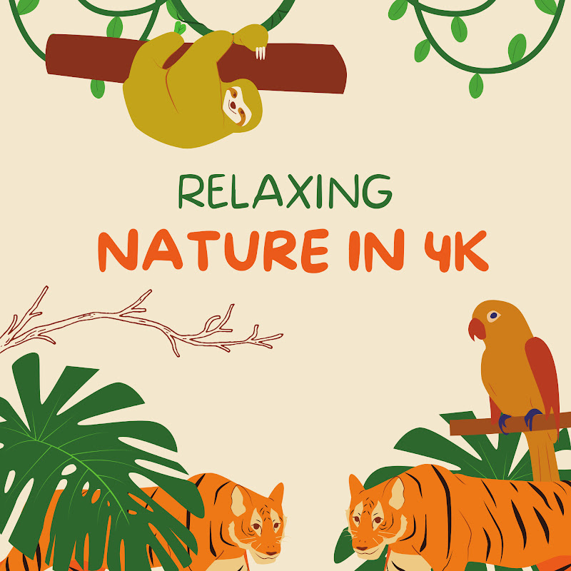 Relaxing Nature In 4K