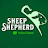 Sheep shepherd