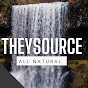 TheySource logo