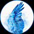 gFXFBwMghWw-channel-avatar-Keishart