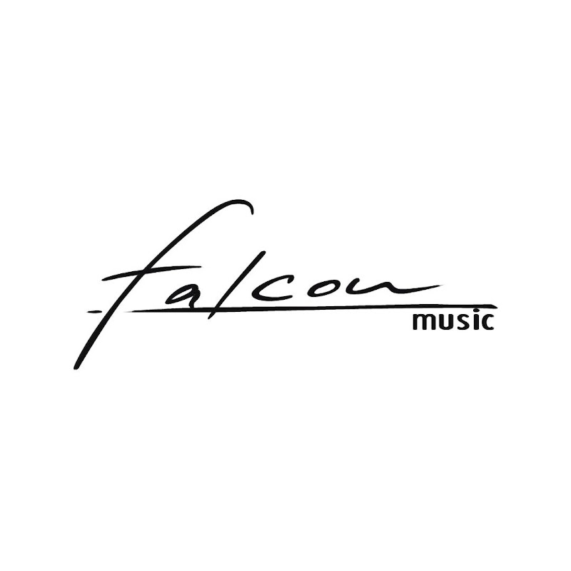 Falcon Music ID