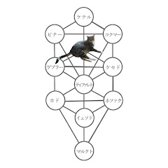 ひかりのスピクラブアイコン画像