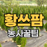 euT_cfJQIKY-channel-avatar-황쓰팜