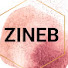 SALKQM7mLQ8-channel-avatar-With ZINEB الجديد مع زينب 