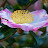 @LucyWard-k7e
