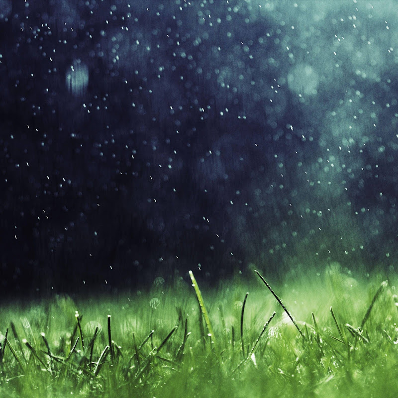 Rain Background Melodies