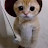 @acew2904's avatar