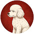 6ew_sX4rui8-channel-avatar-Lucky’s Jazz Lounge