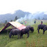 htUgYgdd-yc-channel-avatar-Life In Rural Nepal
