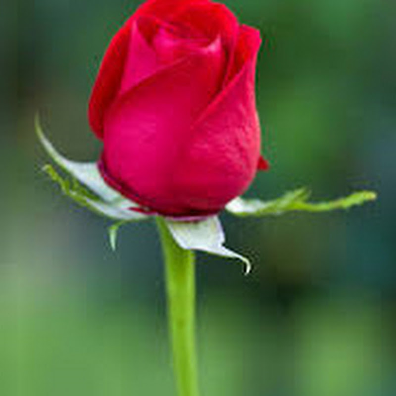 TECHNOLOGY AND BUSINESS UPDATE 