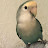 @دودي-ص3ث