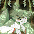 OpHl0gUQ2p4-channel-avatar-稲森ケイ