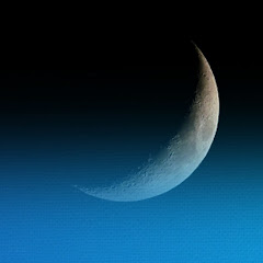 عالم التصاميم M. A.