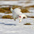 @JT3-610's avatar