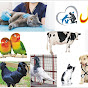 Ahmed Veterinary Hospital & Diagnostics logo