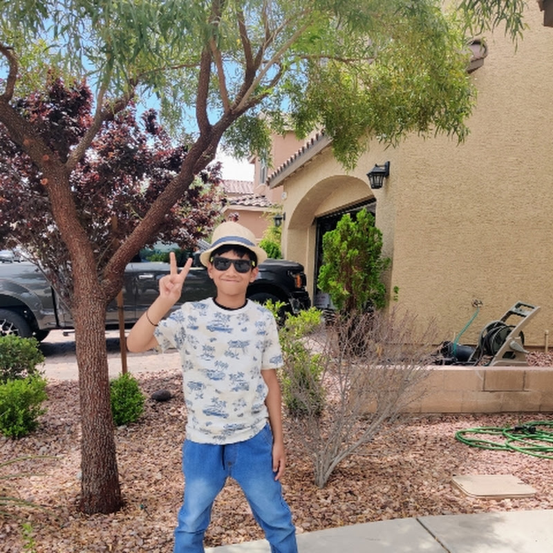 Prayansh's small world 🌎